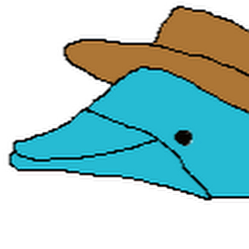 SwaggedOutDolphin