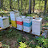 @GoodEnoughBackyardBeekeeping