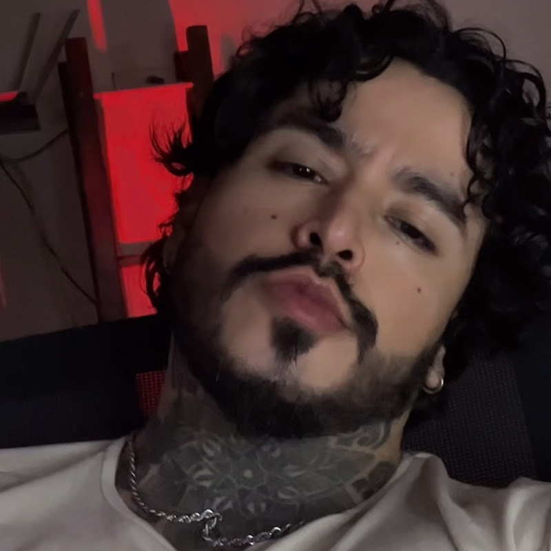 Photo Wolfsteinh ASMR
