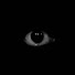 r4xXckKraVg-channel-avatar-Zona Obscura