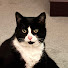 Channel Image
