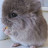 @ELJEFELLC-u6v1x