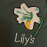 DW097SSSKRI-channel-avatar-Lily’s Cleaning Tallahassee