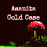 kLiY4q6y2sI-channel-avatar-Amanita Cold Case
