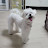 @루이-h3f