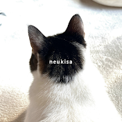 のいきさ