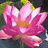 Channel Image