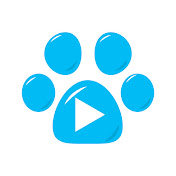 Paws in The Screen - TV for Dogs in 4K