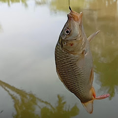 FISHING.TV.99