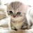 @pingping123yl