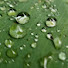 CuSfb6mHAjg-channel-avatar-Leaf of Life