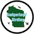 Badgerland Birding