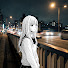 7CWLJCbr410-channel-avatar-Breakcore Bandits