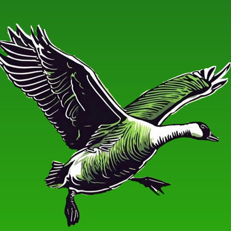 287Goose 