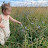 Raising Wildflowers Homeschool 