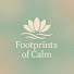 gMB6LutoTp0-channel-avatar-Footprints of Calm