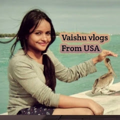 Vaishu Vlogs From USA Avatar