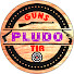 1y2QJjQkwCk-channel-avatar-Pludo Guns Tir
