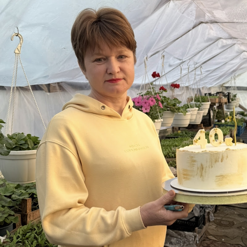 Теплиці Лідії Кононенко