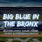 Big Blue In The Bronx