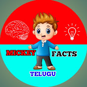 MICKEY FACTS TELUGU