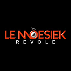 Channel thumbnail for Le Moesiek Revole