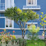 xheLT5TnZL4-channel-avatar-Vivenda Azul - casa, horta, jardim