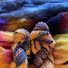 l5mkH_d5H7I-channel-avatar-Jewels Makes : Slow Fashion Process Making