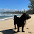 @MitchellsHawaii
