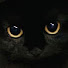 ijmQGERnpRY-channel-avatar-Chua