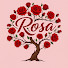 EEw3nk-tZAM-channel-avatar-Rosa Rosa