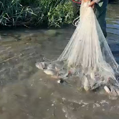 Adan foodBall and fish 691k
