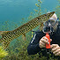 Z-bEG35PbQ4-channel-avatar-Tim's Okoboji Adventures