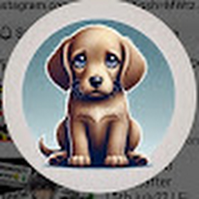 Hire abhi Jangra515 — Fortnite Content YouTube creator for sponsorships