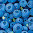 PpLQQIRRw90-channel-avatar-BB
