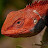Avatar photo