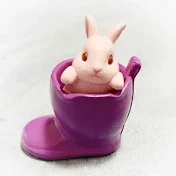 みずたまのタロットリーディングroom