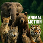 Hire Animal motion — Animal Behavior Studies YouTube creator for sponsorships