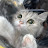 @user-eb9ch6jx8y