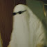 I9Ej2M8KtSM-channel-avatar-pitchoar