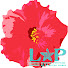 dVntCXF5wDA-channel-avatar-L☆P