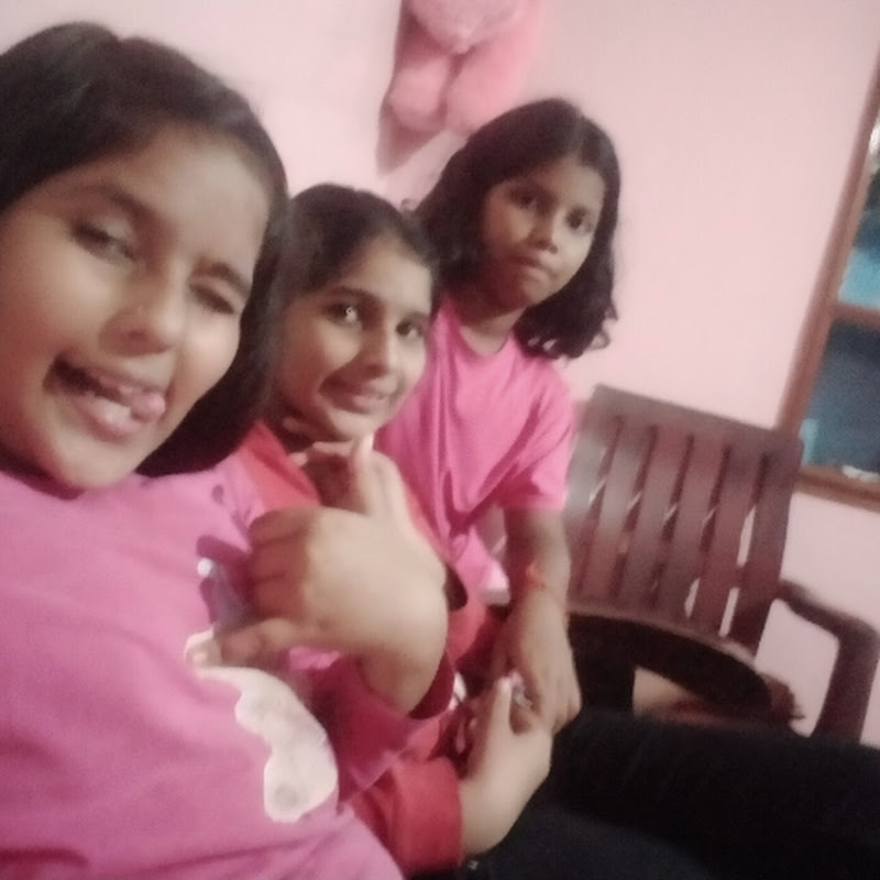 Three funny siblings challenge videos  