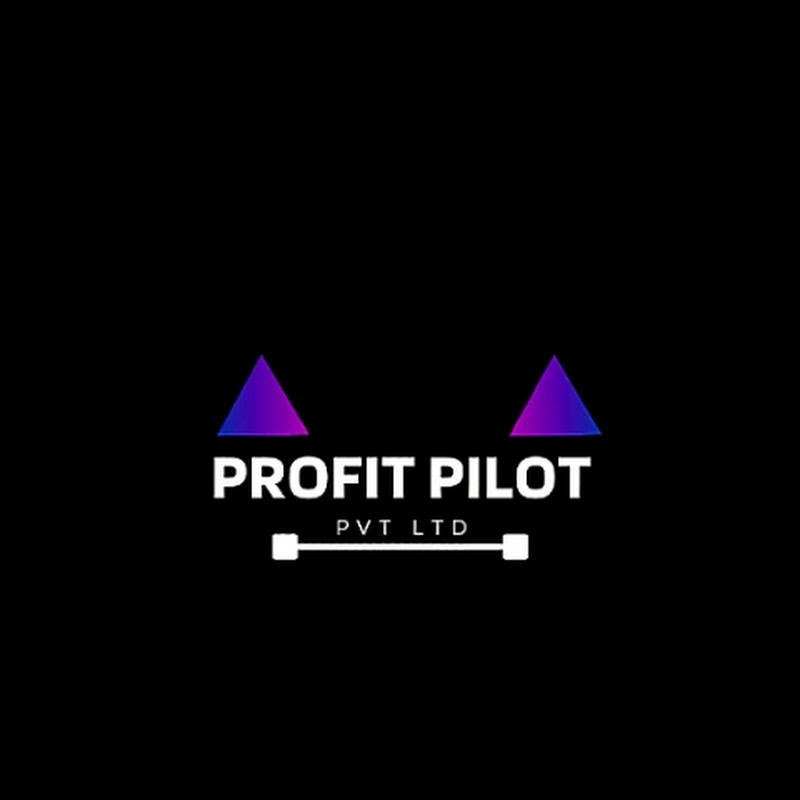 PROFIT PILOT