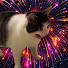 TdXmEbD5k7Q-channel-avatar-ARNR Pyro