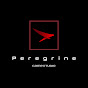 Peregrine Gamestudio logo