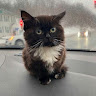 Автор