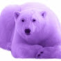 PurplePolarBear logo