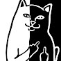 Cat middle finger pointing at you #cmfpay