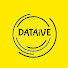 9birgioB3s8-channel-avatar-DATAiVE