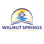 Walnut Springs Bible Baptist Church logo